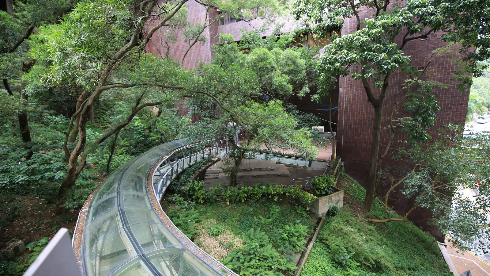 香港大学在大陆被严重高估？文章封面
